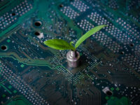 4 ways AI helps business protect the environment