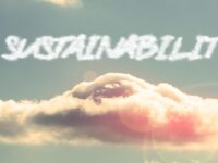 Cloud Computing Sustainability: How Green Is the Cloud?