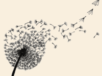 The CEO’s guide to building a Frontier Firm