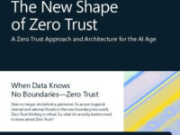 The New Shape of Zero Trust