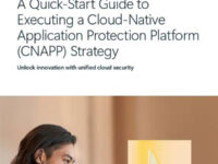 A Quick-Start Guide to Executing a Cloud-Native Application Protection Strategy